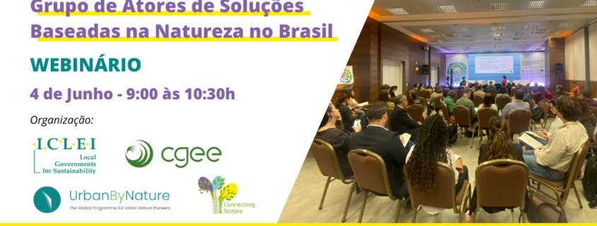 Webinário Grupo de Atores de SbN no Brasil (com Fluxus, ICLEI & CGEE)